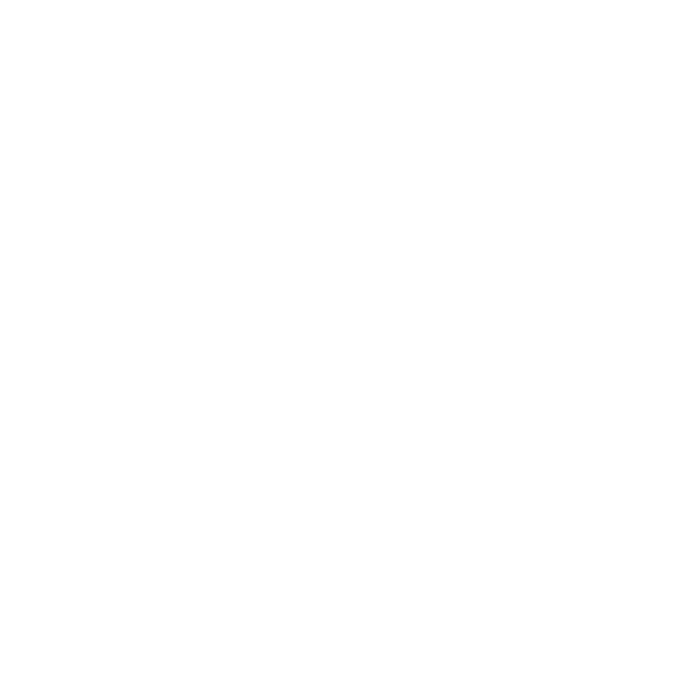 Crane Services