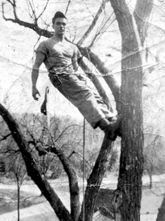Northern Tree Service in 1950s Residential and Commercial Tree Removal and Tree Management