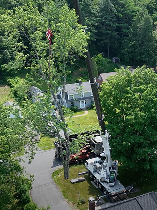 Northern Tree Service Residential and Commercial Tree Removal and Tree Management